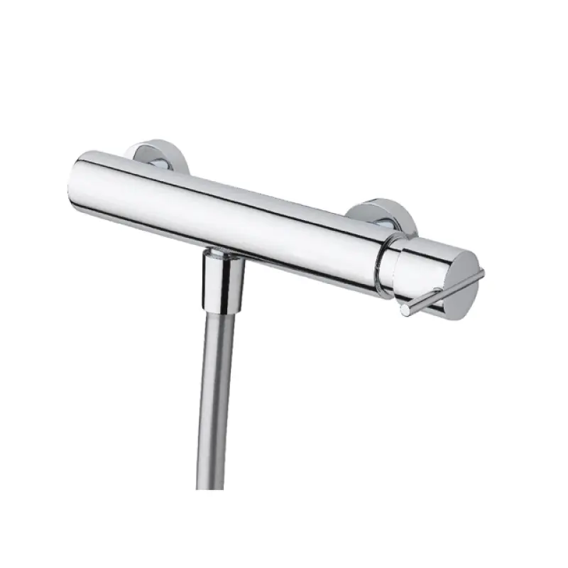 Waterevolution S22 douche thermostaatkraan met handdoucheset opbouw RVS T440TIE