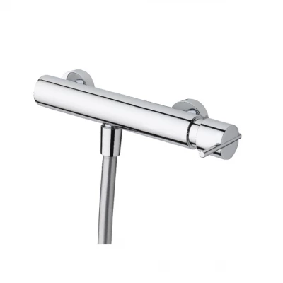 Waterevolution S22 douchemengkraan met handdoucheset opbouw RVS T440IE