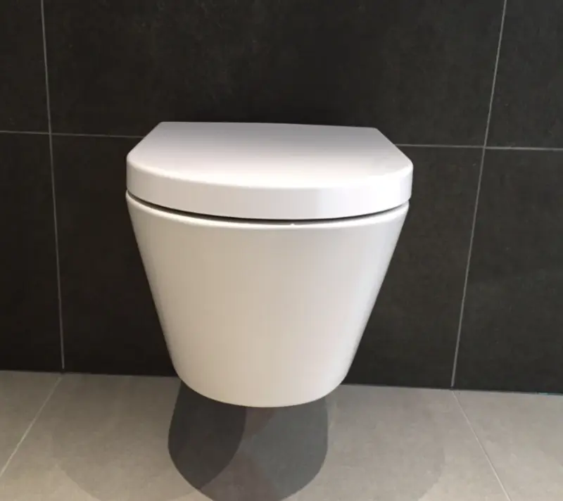 Aquadesign Rimless wandcloset verkort met softclose zitting randloos wit 1208847342