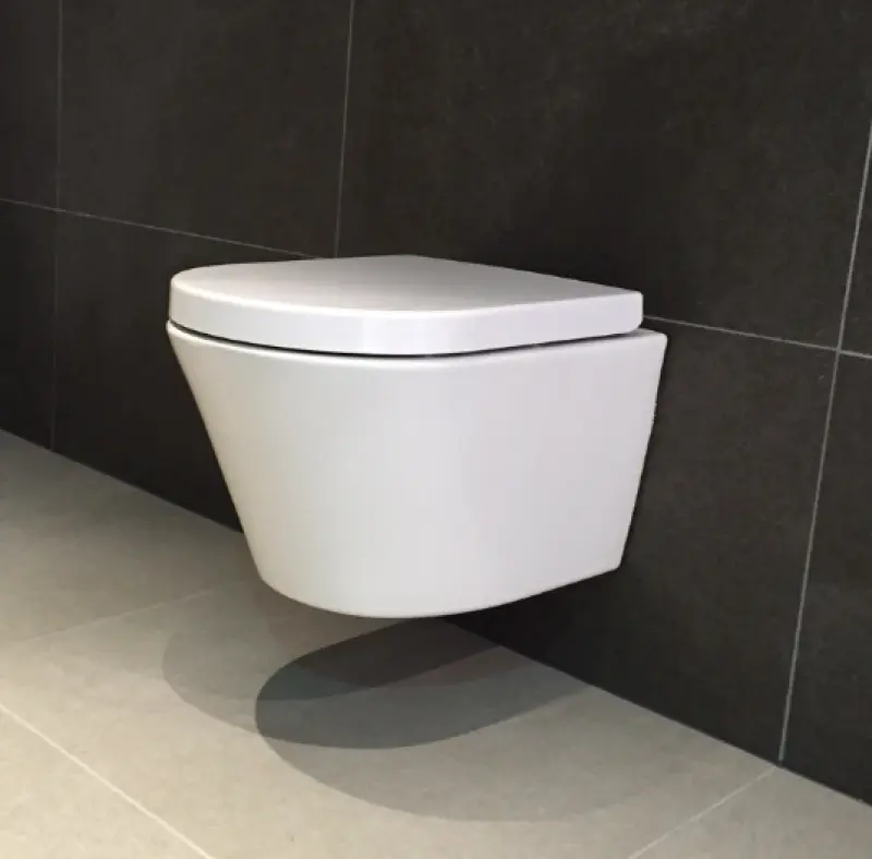 Aquadesign Rimless wandcloset verkort met softclose zitting randloos wit 1208847342