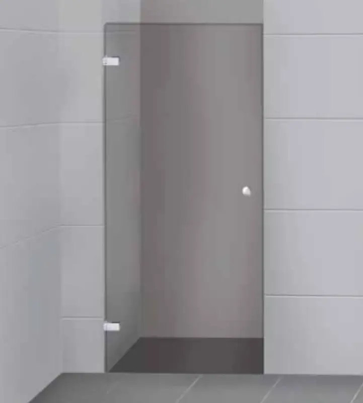 Flavio Acier douchedeur RVS 60x200cm profielloos 1208912802