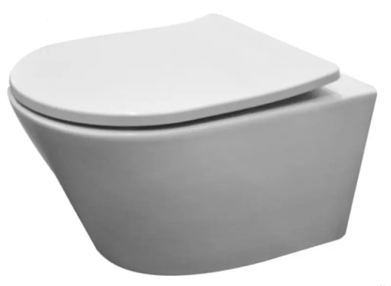 Aquadesign Montreal wandtoilet rimless mat wit incl softclose zitting 1208913652