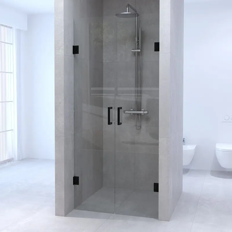 Aquadesign Minimal Pendeldeur 100x200 cm helder glas - zwart beslag