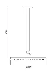 Waterevolution Flow hoofddouche 250mm met plafondaansluiting mat wit T164225BR