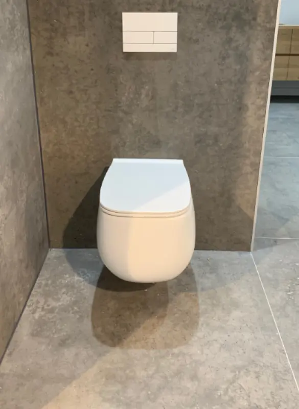 OUTLET Flavio Cosenza rimless design wandtoilet mat wit incl. softclose zitting en quickrelease 1208925065 nog 1 stuk leverbaar